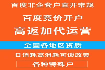 行业领先企业的信息流竞价策略揭秘